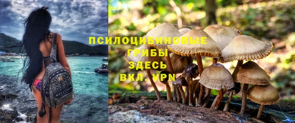 скорость mdpv Белокуриха